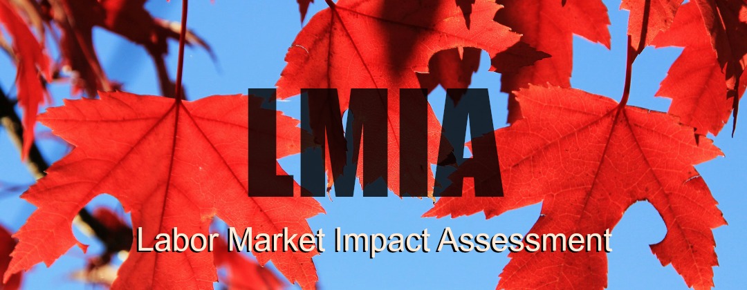 Labor Market Impact assessment